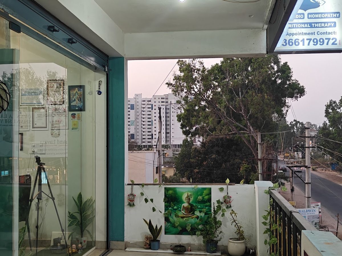 Glass front of the clinic with plants and the road beyond